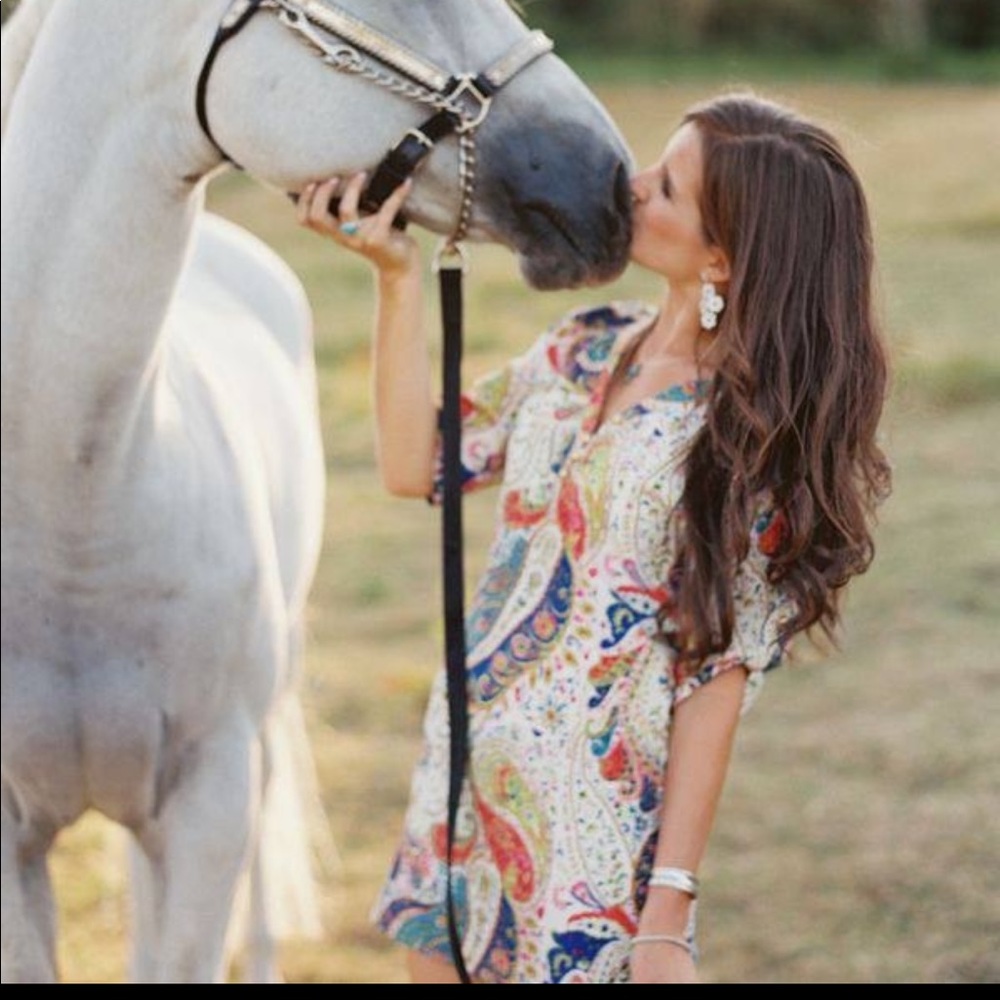 Britt Ryan Paisley Dress, size 2